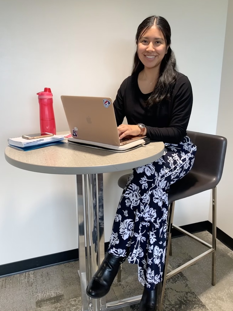 GHS SVYM intern working on computer